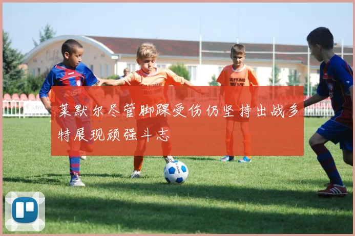 莱默尔尽管脚踝受伤仍坚持出战多特展现顽强斗志