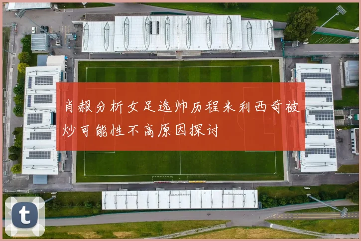 肖赧分析女足选帅历程米利西奇被炒可能性不高原因探讨