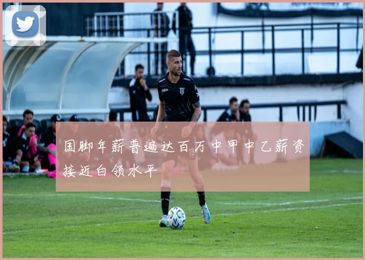 国脚年薪普遍达百万中甲中乙薪资接近白领水平